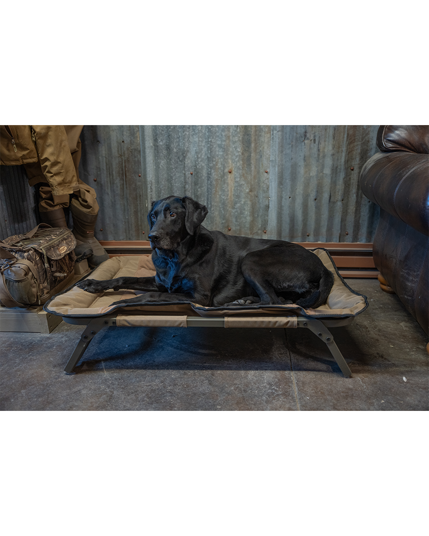 Elevated Dog Bed product image 6