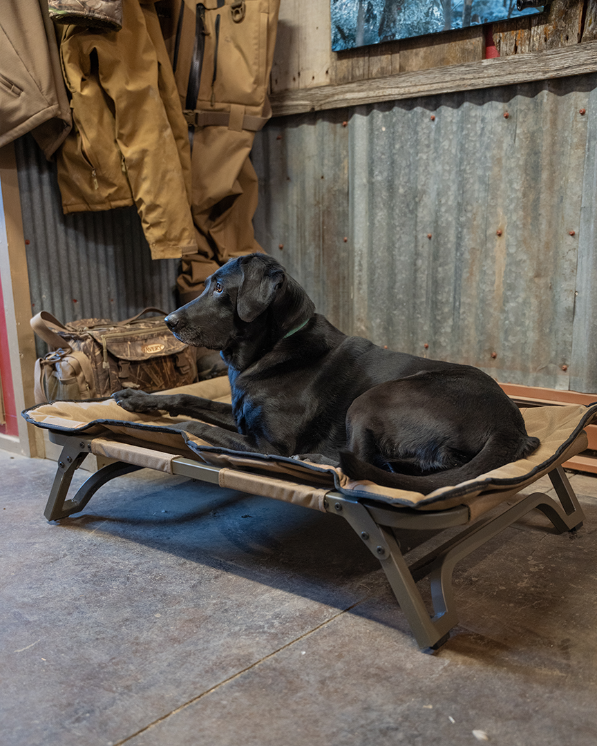 Elevated Dog Bed product image 7