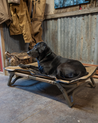 Elevated Dog Bed product image 7
