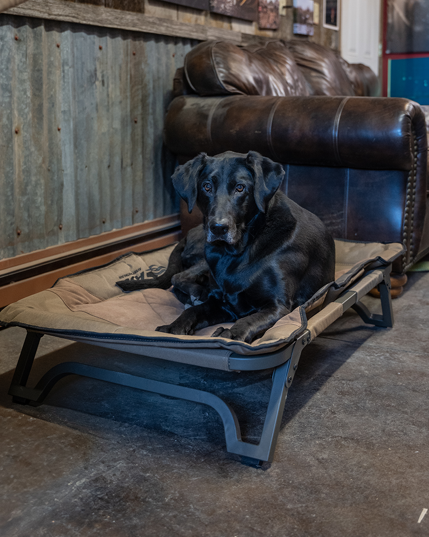 Elevated Dog Bed product image 8