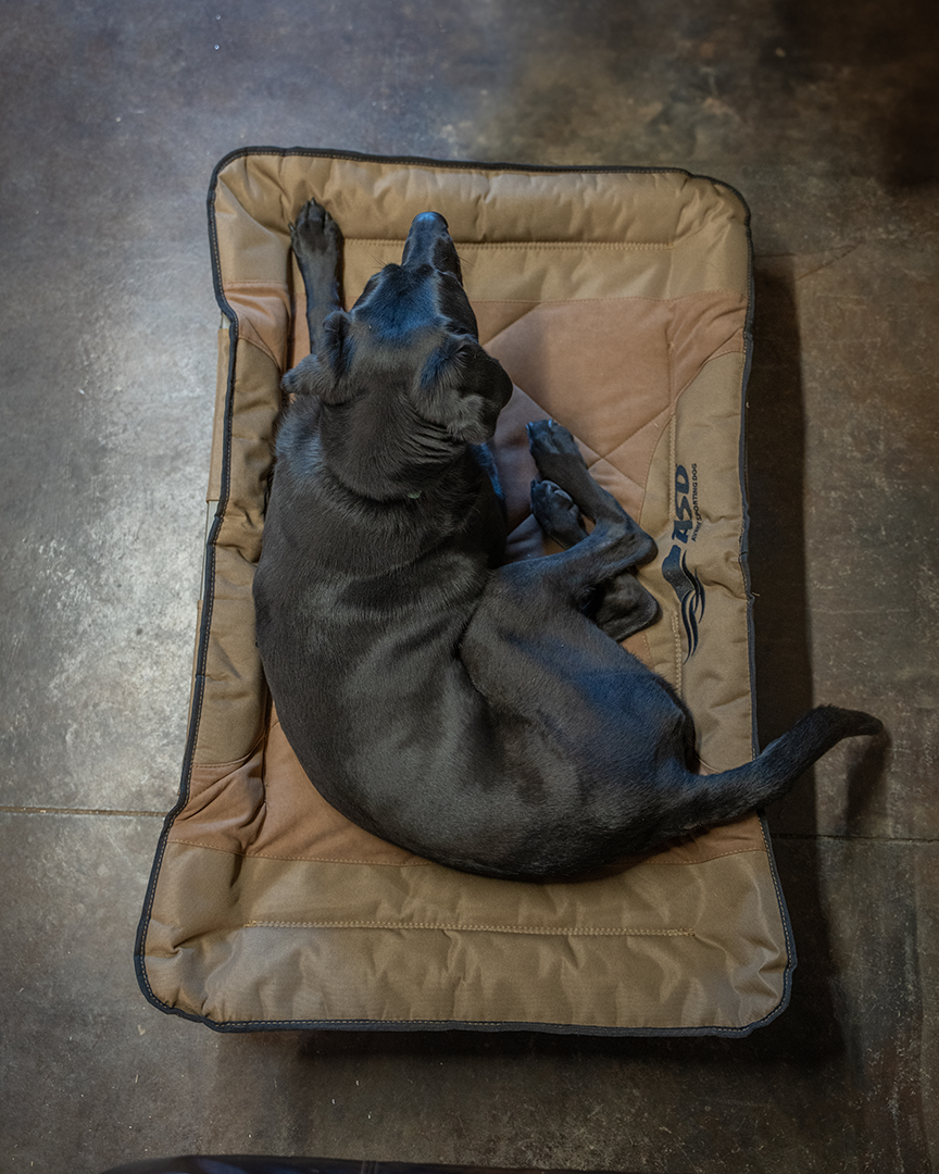 Elevated Dog Bed product image 9