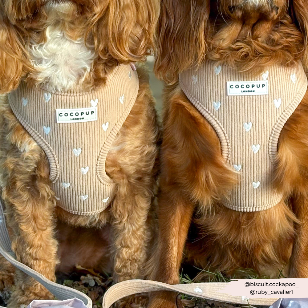 Adjustable Neck Harness product image 4