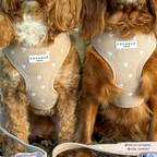 Adjustable Neck Harness product image 4