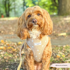 Adjustable Neck Harness product image 6