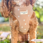 Adjustable Neck Harness product image 7