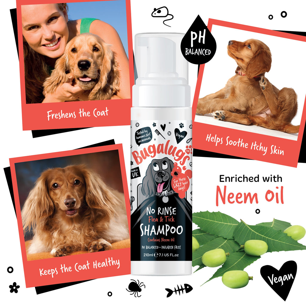 No-Rinse Flea and Tick Dog Shampoo with Neem Oil, Waterless Coat Care for Quick Between-Bath Grooming source image 5