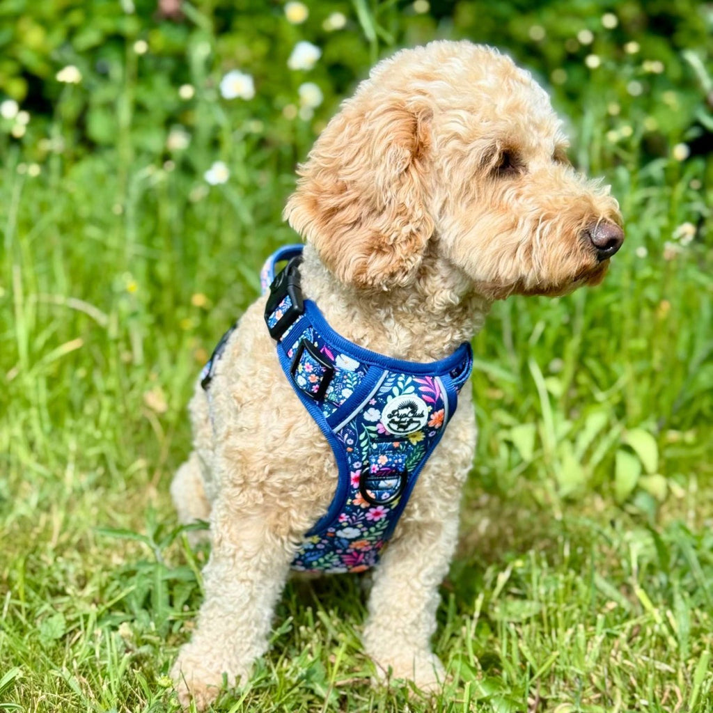 No-Pull Dog Harness product image 3