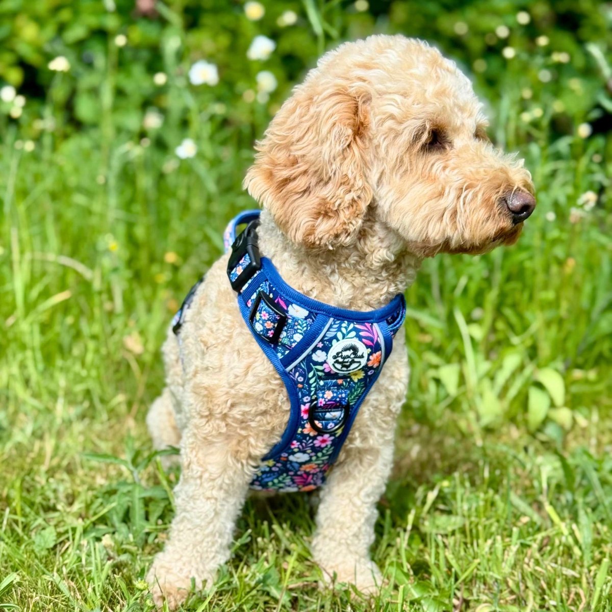 No-Pull Dog Harness product image 3