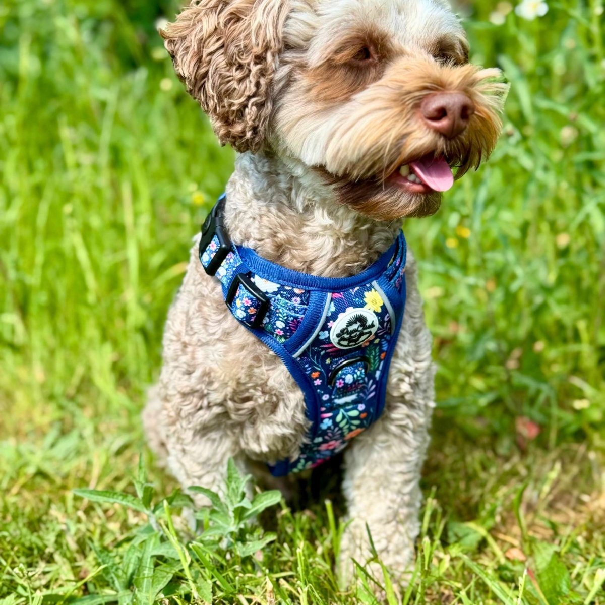 No-Pull Dog Harness product image 6
