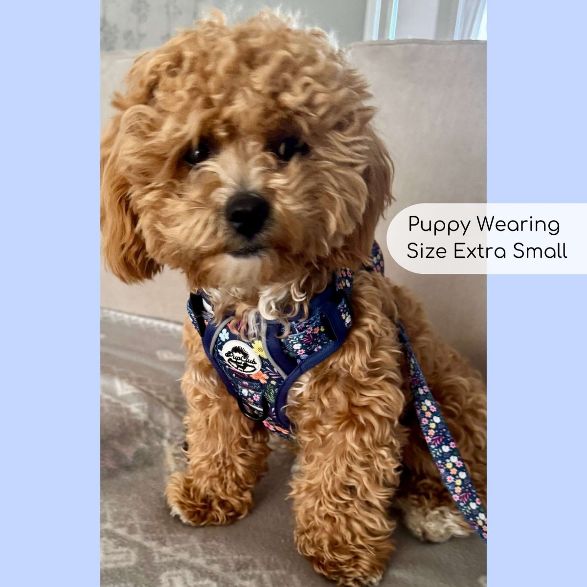 No-Pull Dog Harness product image 8