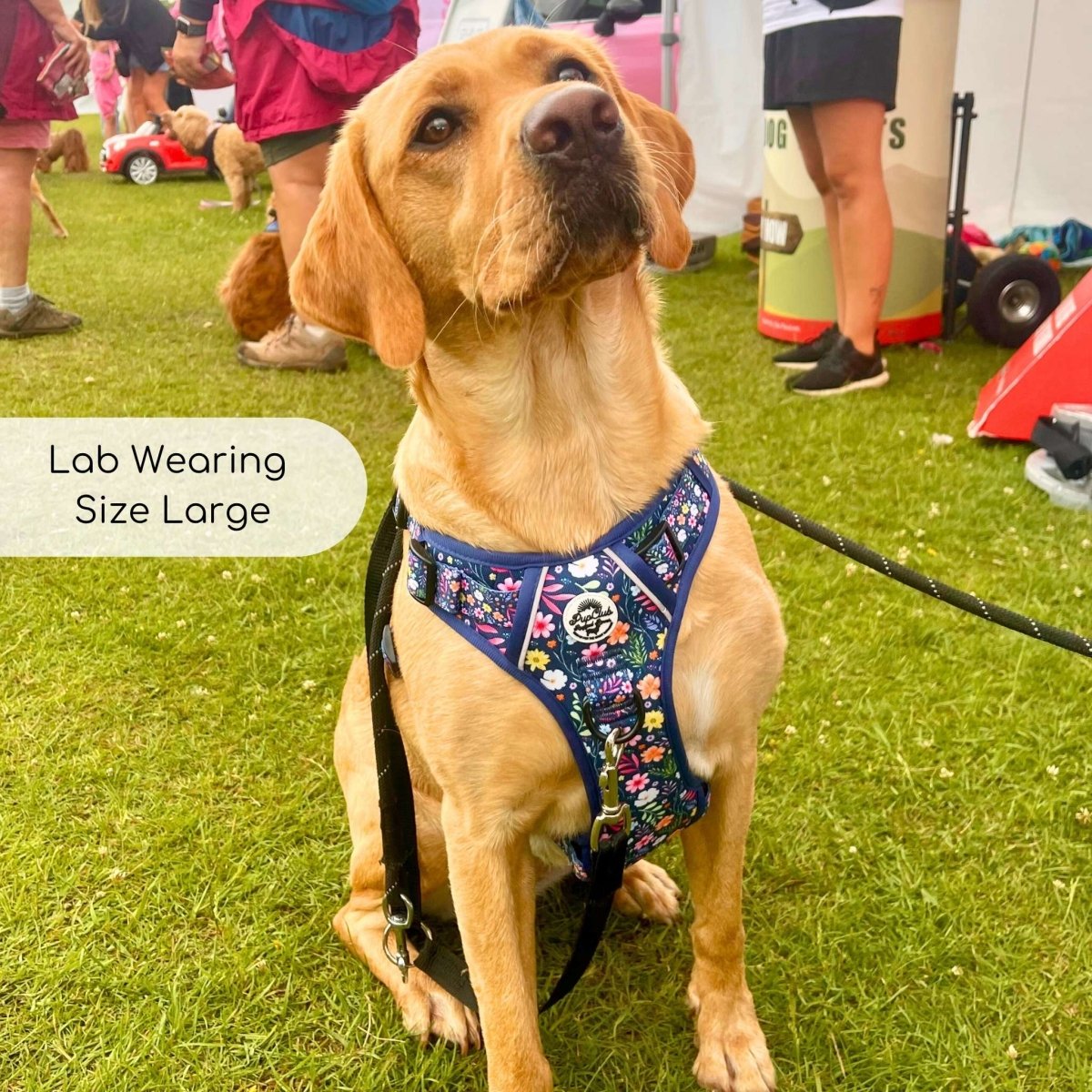 No-Pull Dog Harness product image 9