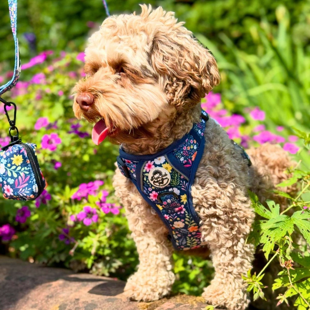 No-Pull Dog Harness product image 10