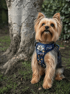 No-Pull Dog Harness product image 11