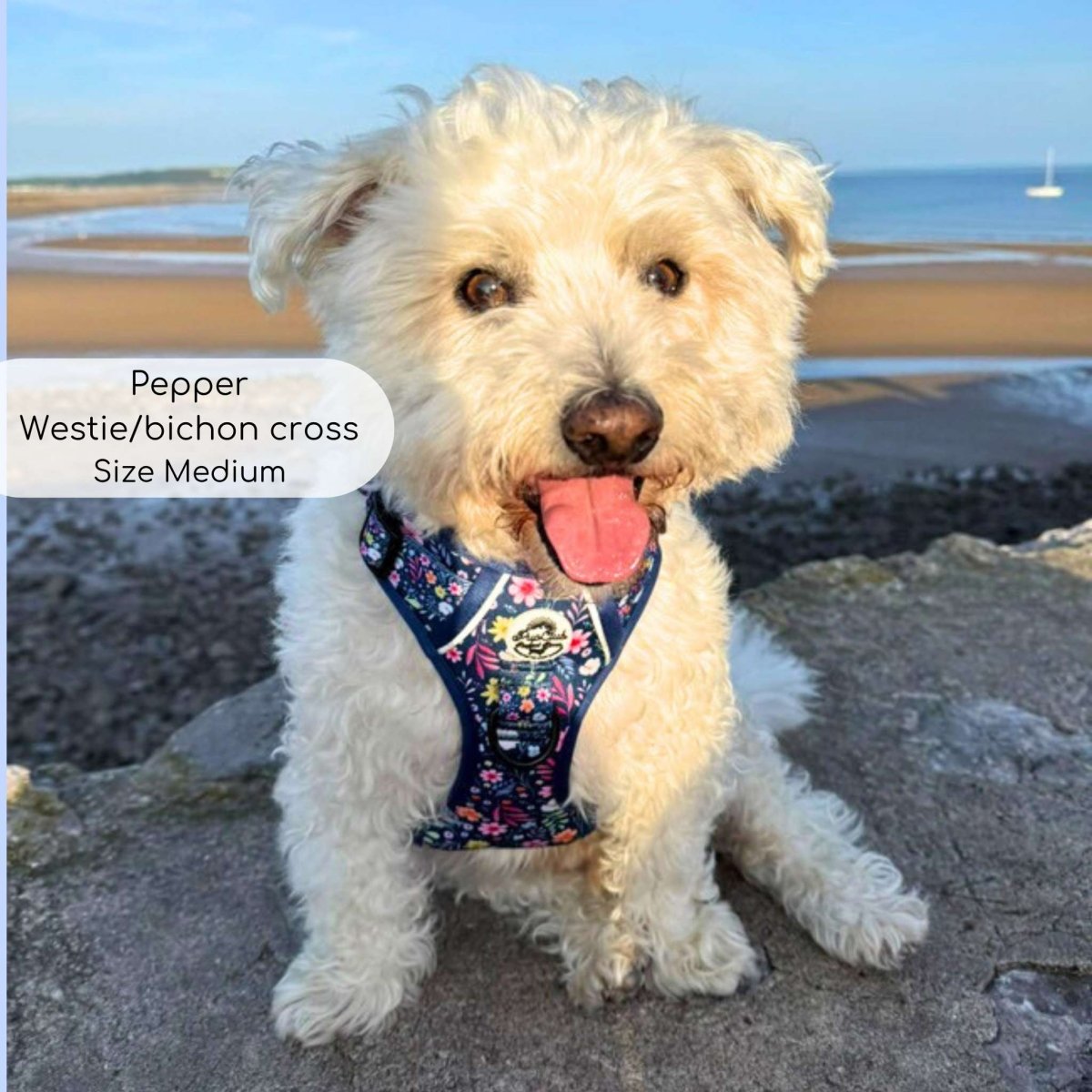No-Pull Dog Harness product image 12