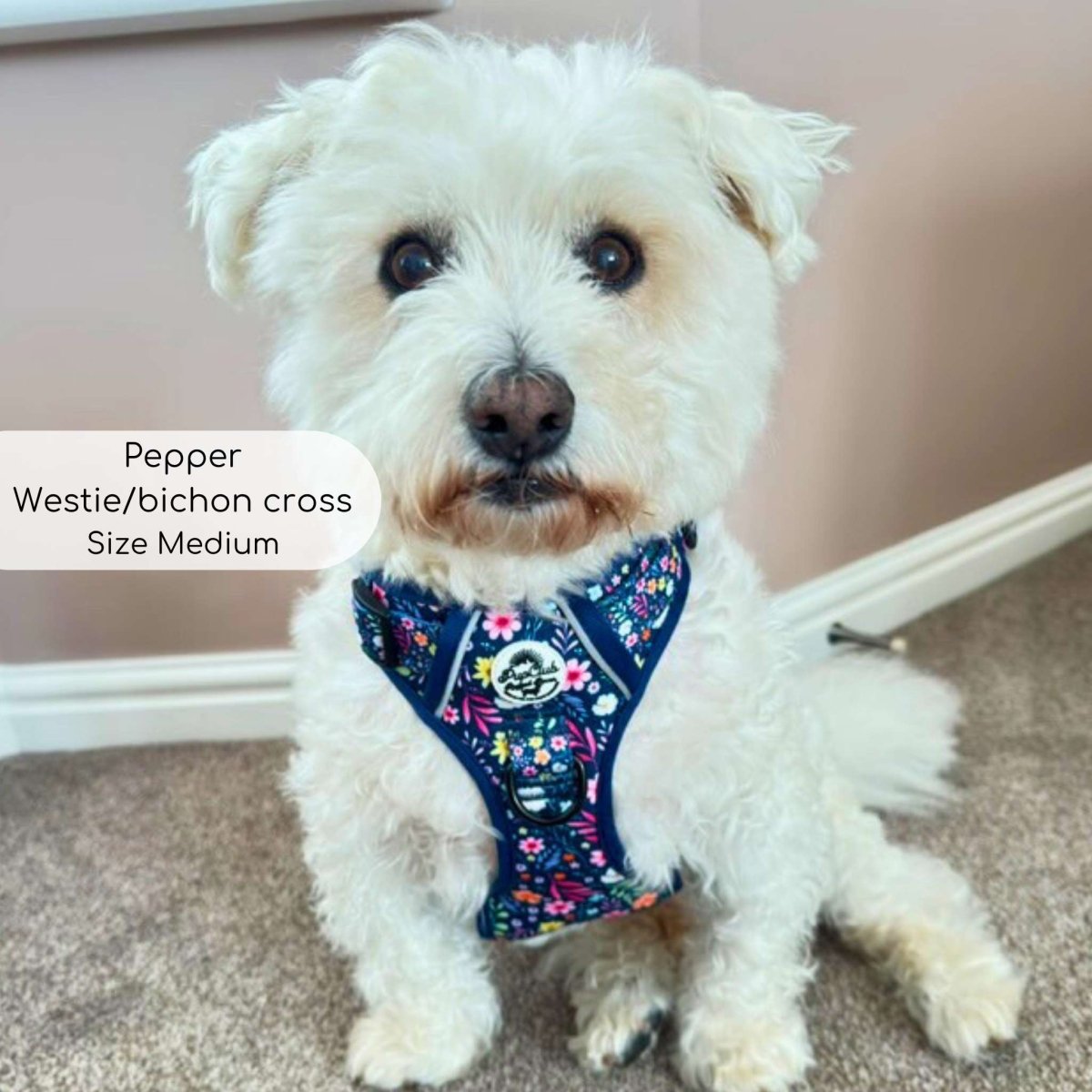 No-Pull Dog Harness product image 13