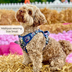 No-Pull Dog Harness product image 14