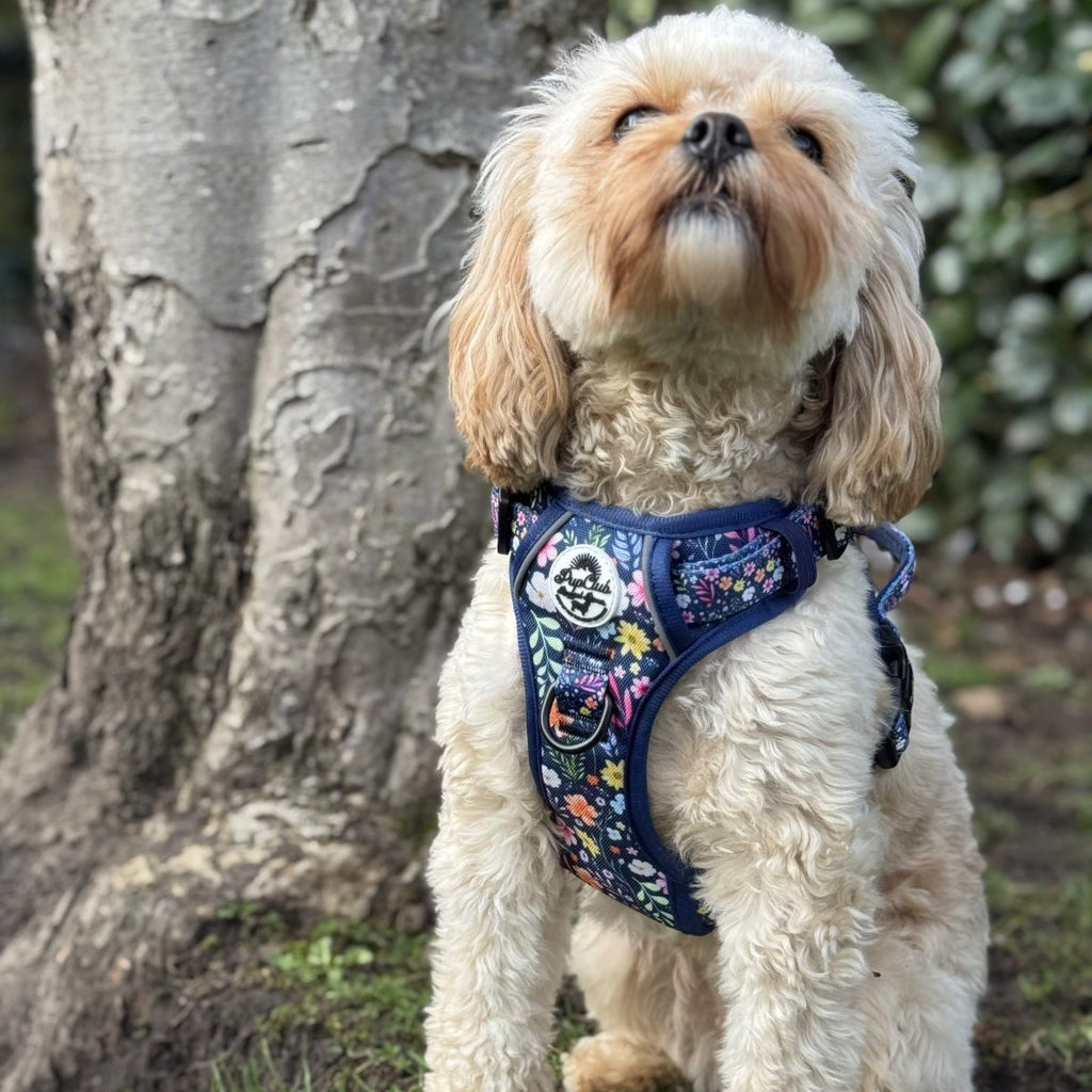 No-Pull Dog Harness product image 15