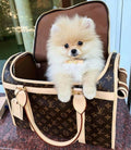 Airline-Approved Dog Carrier product image 1