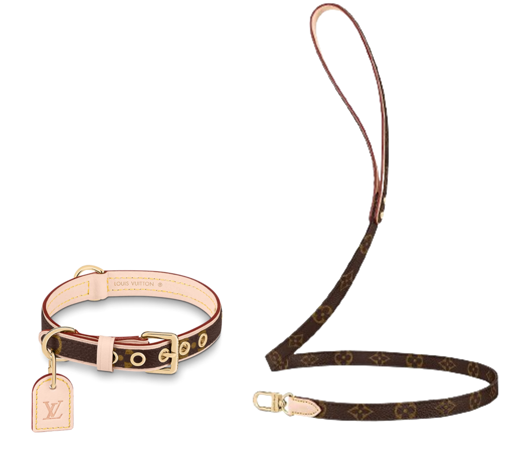 Dog Collar and Leash Set product image 1