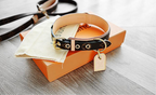 Dog Collar and Leash Set product image 3