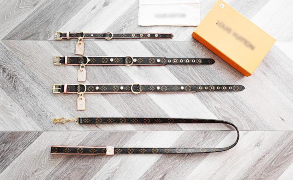 Dog Collar and Leash Set product image 4