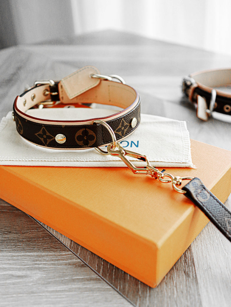 Dog Collar and Leash Set product image 5