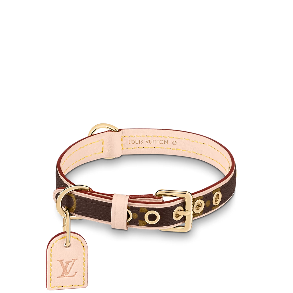 Dog Collar and Leash Set product image 9