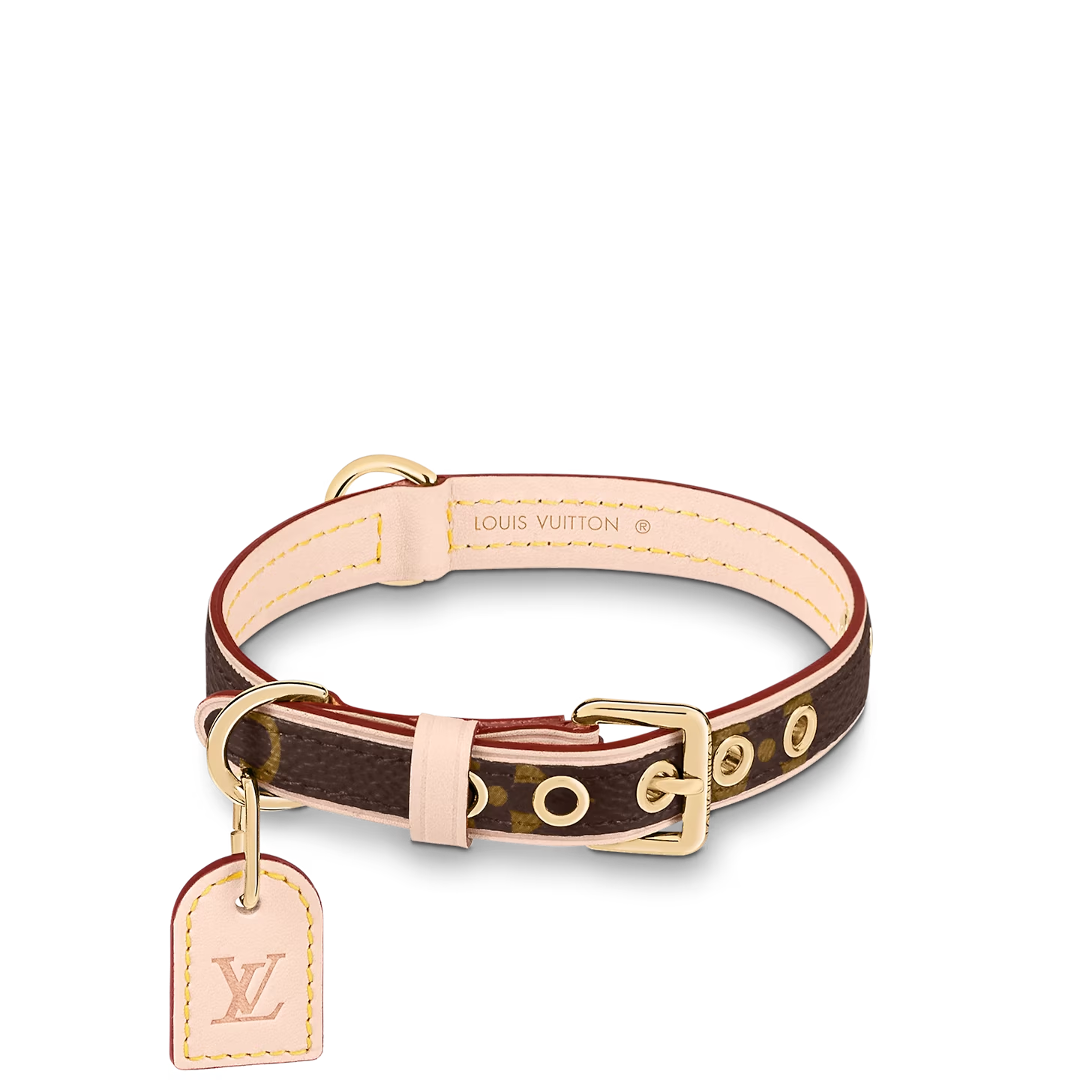 Dog Collar and Leash Set product image 9