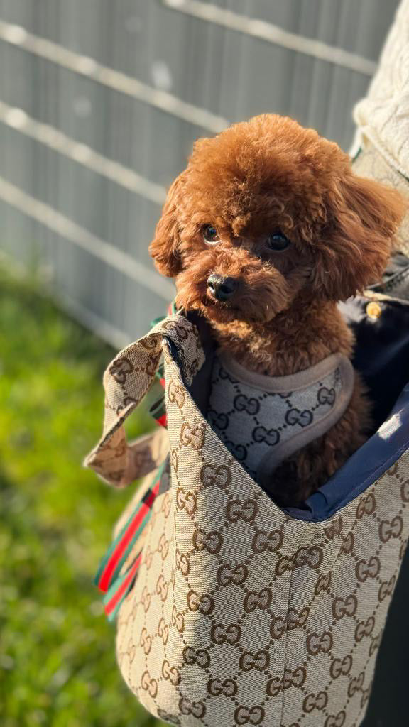 Pet Carrier product image 5