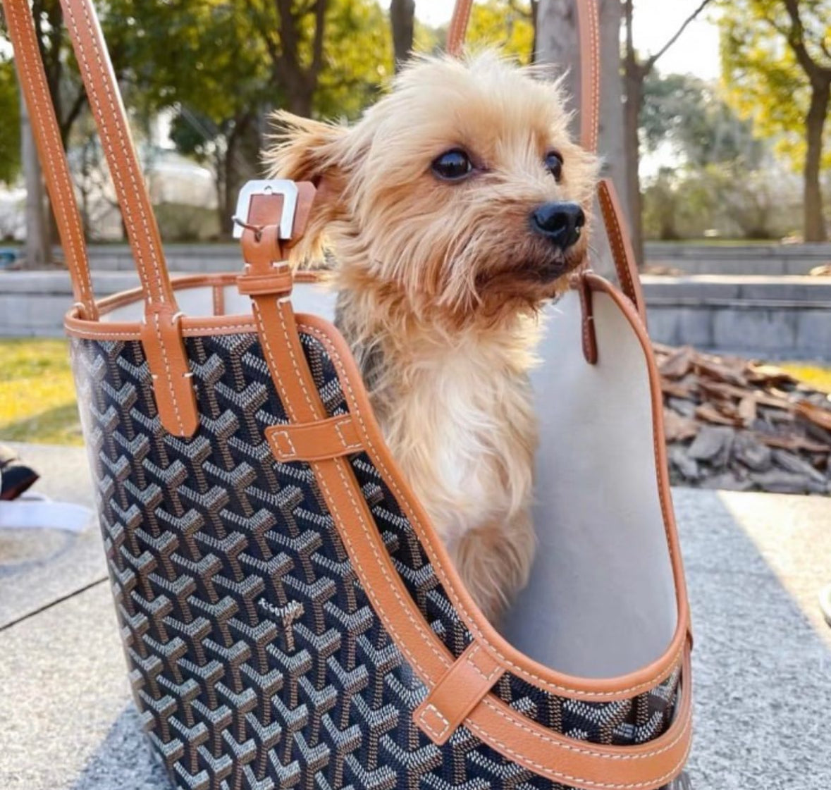 Dog Carrier product image 7
