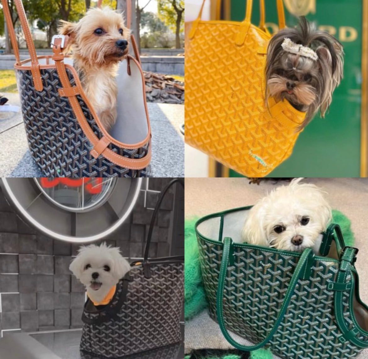 Dog Carrier product image 13