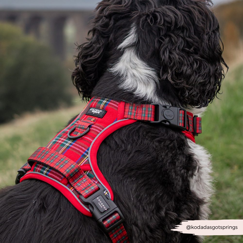Dog Harness product image 5