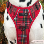 Dog Harness product image 6