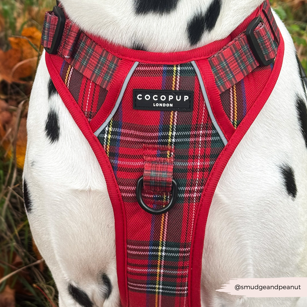 Dog Harness product image 6