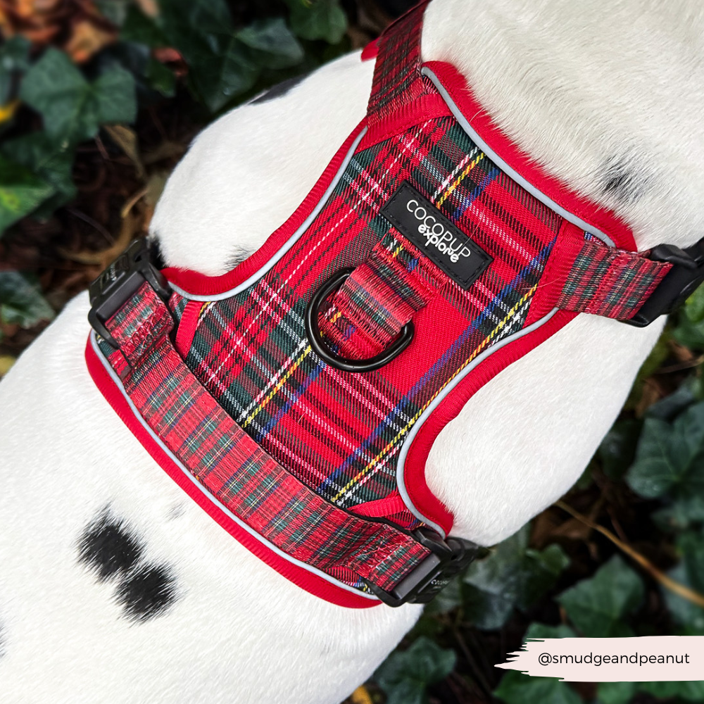 Dog Harness product image 9