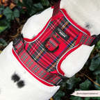 Dog Harness product image 9