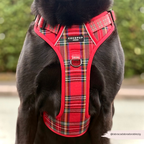 Dog Harness product image 11
