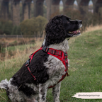 Dog Harness product image 13