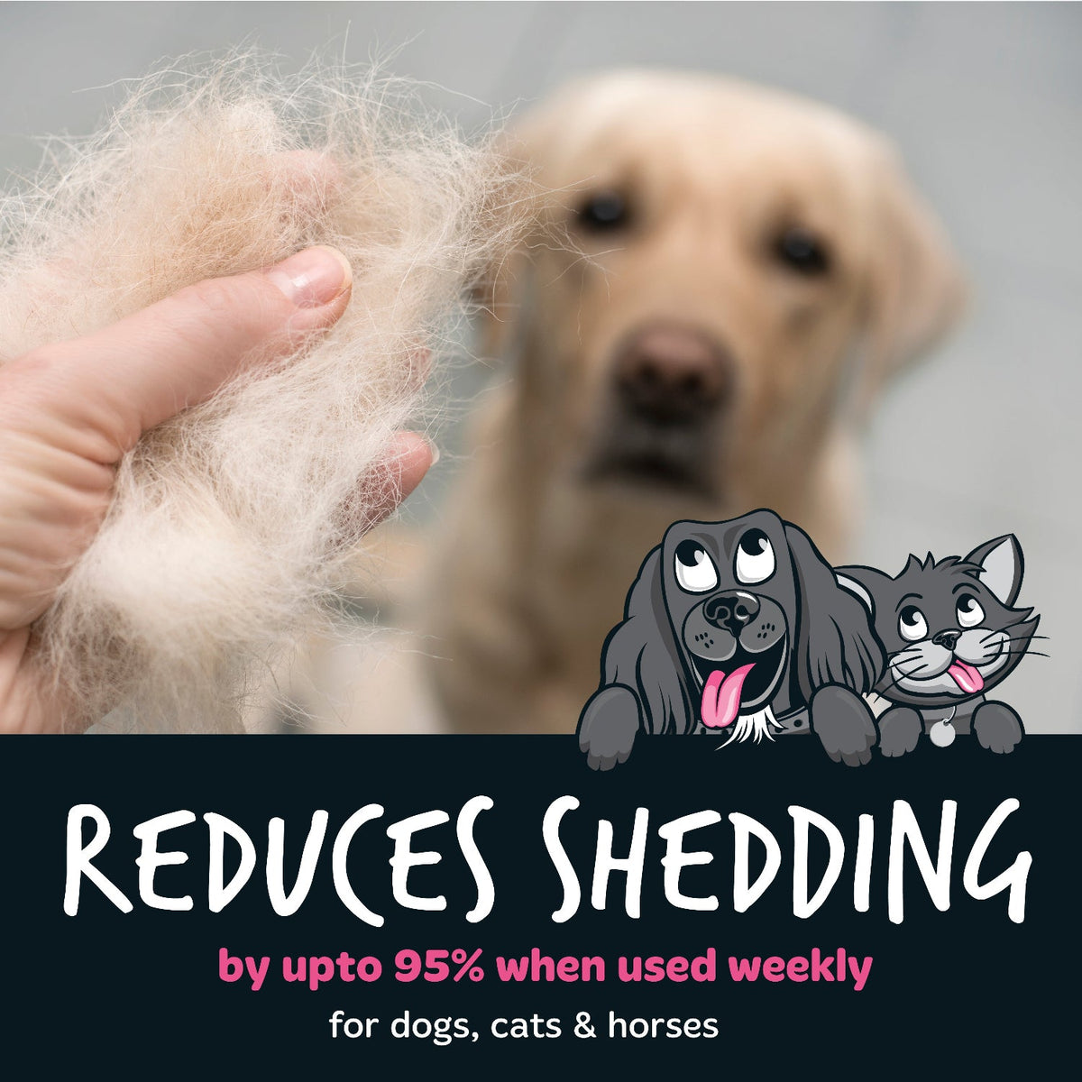 Pet Deshedding Brush product image 7