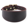 Leather Dog Collar product image 1