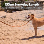 Leather Dog Lead product image 2