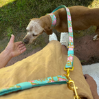 Hands-Free Dog Leash product image 7