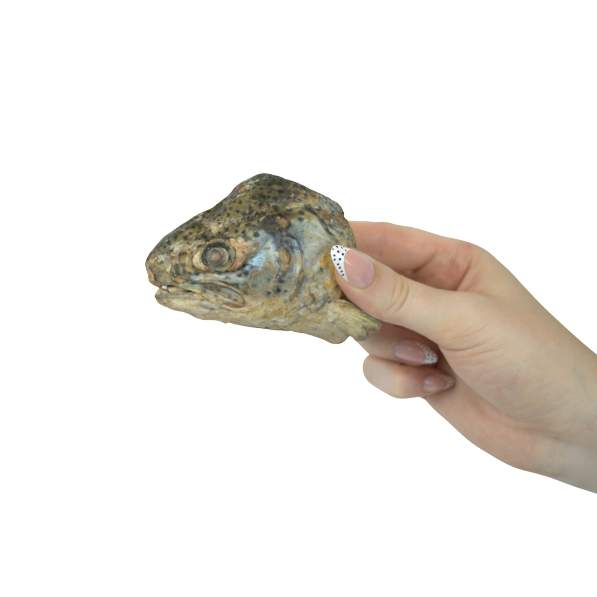 Freeze-Dried Dog Treat product image 2
