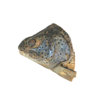 Freeze-Dried Dog Treat product image 3