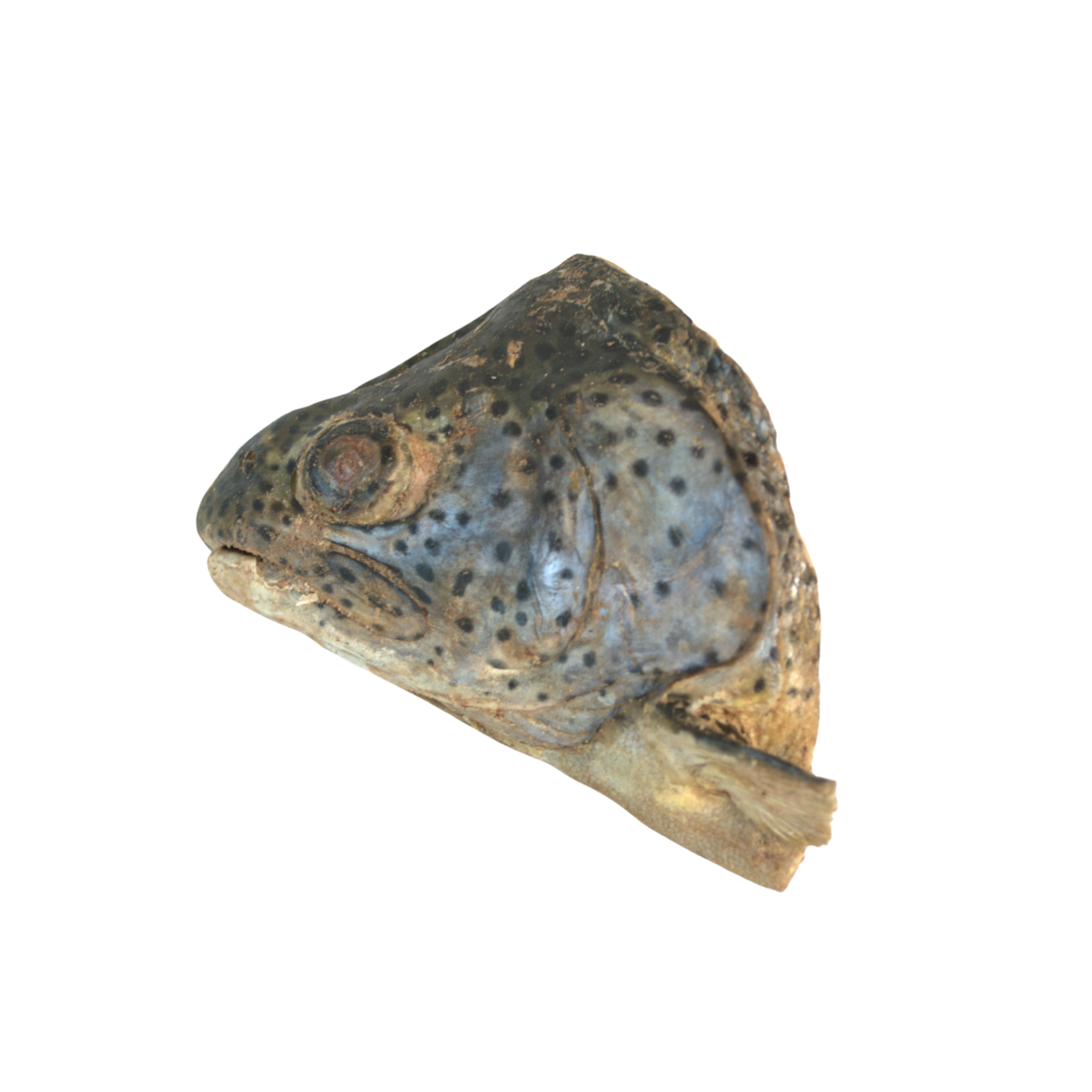 Freeze-Dried Dog Treat product image 3