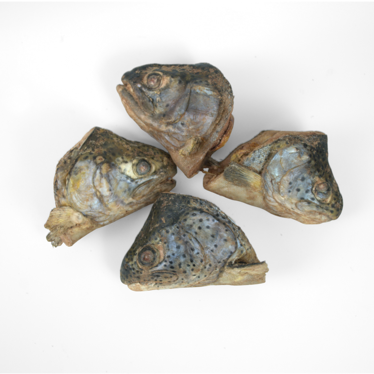 Freeze-Dried Dog Treat product image 4