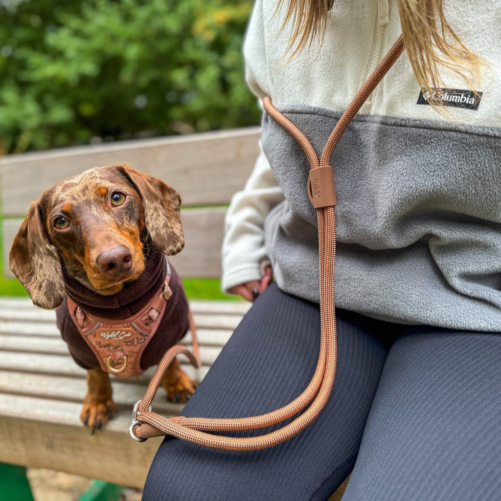 Hands-Free Dog Leash product image 4