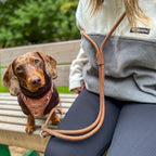 Hands-Free Dog Leash product image 4