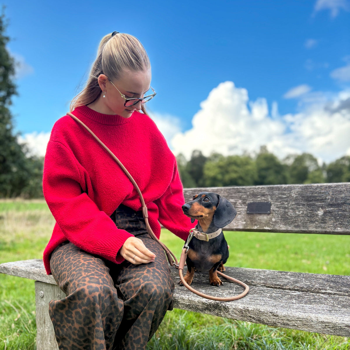 Hands-Free Dog Leash product image 5