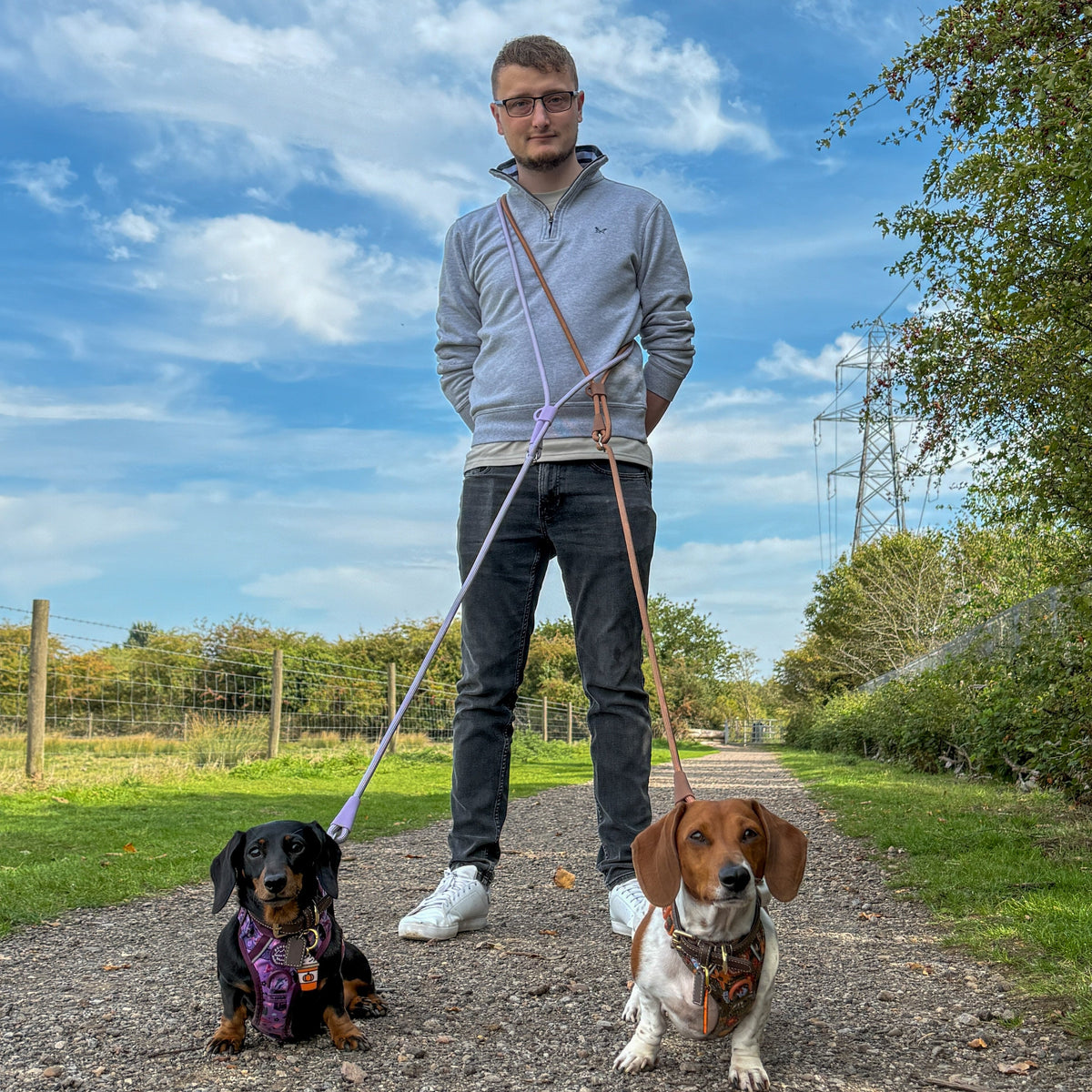 Hands-Free Dog Leash product image 6